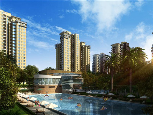 柴火石锅鱼火锅