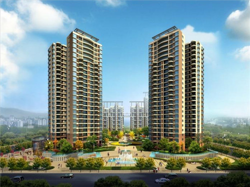 鱼头大大鱼头泡饭