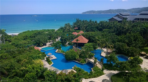 萌鸡特工石锅泡泡鸡