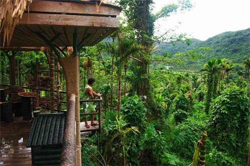 钱宝儿和风便当