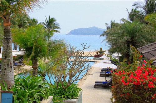 骆驼线上加盟费多少