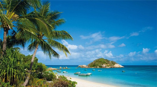 魔幻仙草奶茶加盟费多少，加盟魔幻仙草奶茶利润是怎么算的