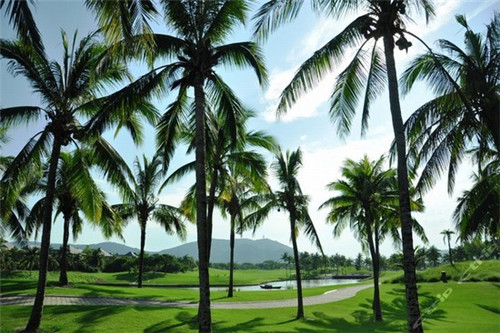 越秀家装装修公司，越秀即时美甲店加盟费多少