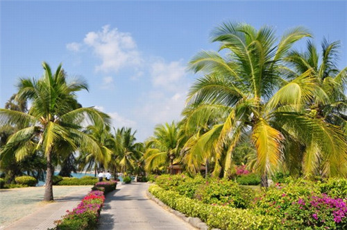 早餐店怎样创业才能成功?，创业故事早餐店怎么做起来