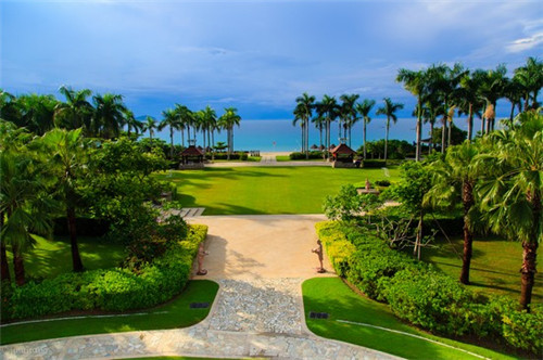 德乌是谁（德乌禾乐队）