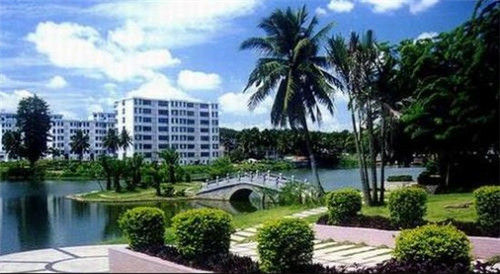 男宝起名张君什么好听（张君名字大全）