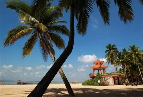 爱存在王珞丹（爱存在王靖雯不胖qq音乐在线试听）