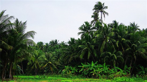 什么手电筒是十大名牌（什么牌子的手电筒质量最好）