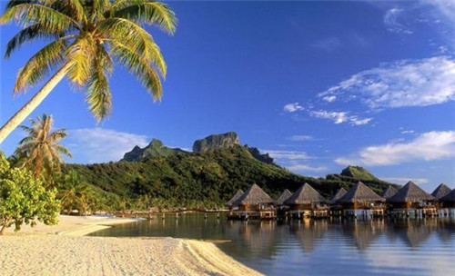 飘香鸡的6种正确做法（飘香鸡是哪里的）