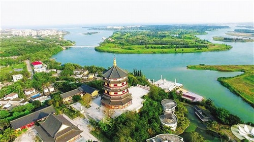 为什么动物会有不同的寿命（为什么动物寿命短）